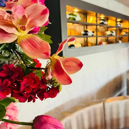 Longstay Achterhoek Zeddam