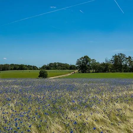 Longstay Achterhoek 3* Zeddam