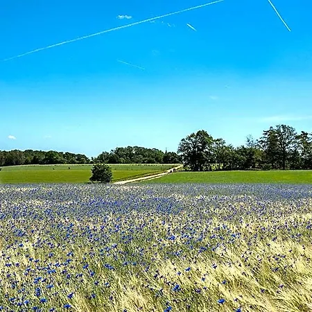 Longstay Achterhoek 3* Zeddam