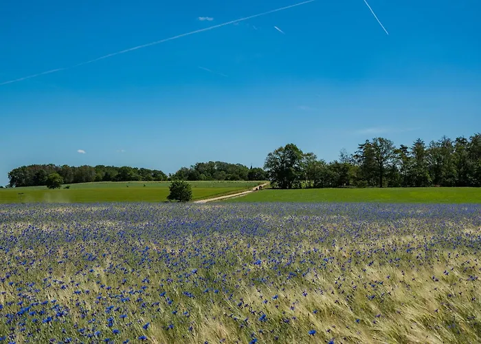 Longstay Achterhoek 3* Zeddam
